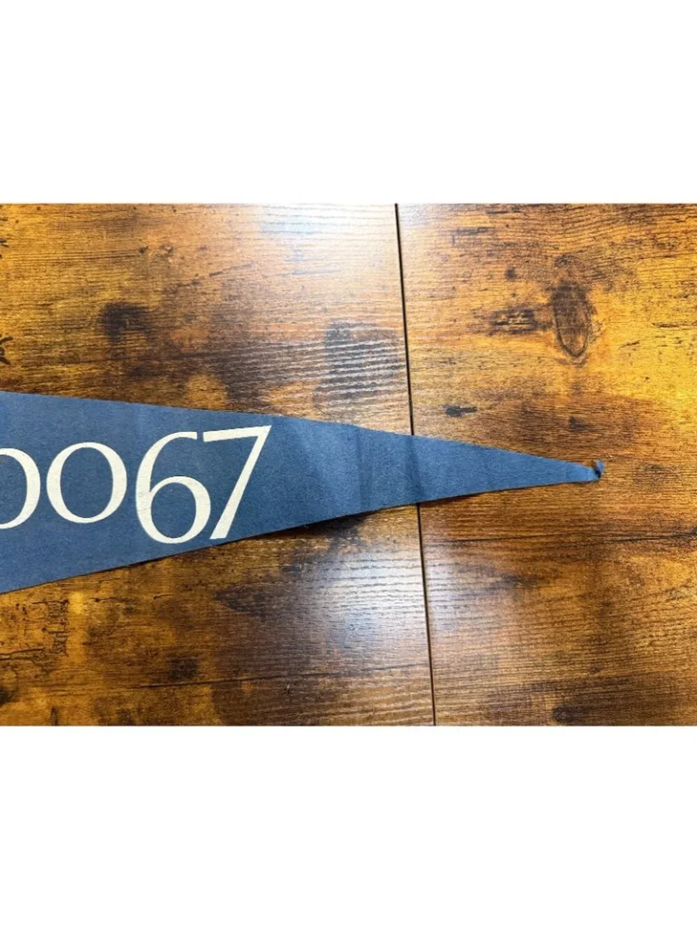 Vintage Expo '67 Montreal, Canada pennant